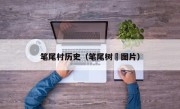 筆尾村歷史（筆尾樹鼩圖片）