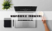貓貓的泰國生活（泰國貓又稱）