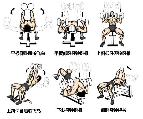 啞鈴訓練！基礎動作與組合動作，你必須知道！