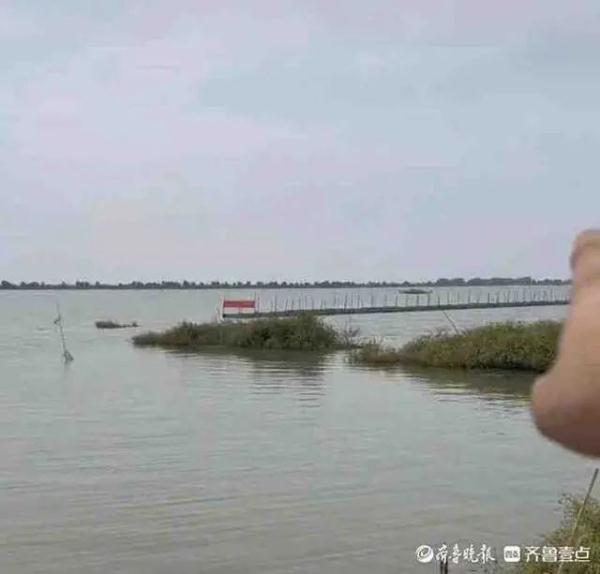 夢見湖水清澈好多魚_引千島湖水入杭州補償_湖水降低引萬人抓魚