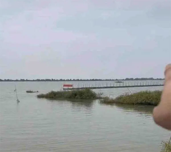 夢見湖水清澈好多魚_湖水降低引萬人抓魚_引千島湖水入杭州補償