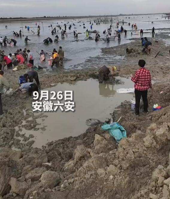 湖水降低引萬人抓魚_夢見湖水清澈好多魚_湖水干枯后魚如何存活