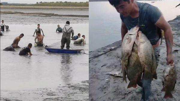 夢見湖水清澈好多魚_湖水干枯后魚如何存活_湖水降低引萬人抓魚