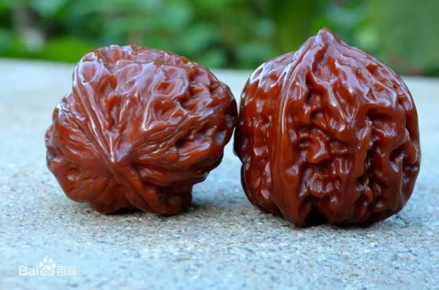 茄子怎樣嫁接嫁接方法_什么樹可以嫁接核桃_核桃樹嫁接方法