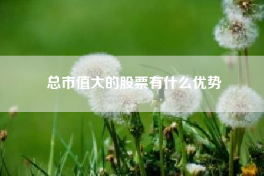 
本篇：總市值大的股票有什么優勢對應的知識點