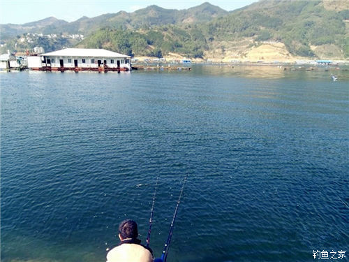 【釣魚技巧】冬季釣鰱鳙魚的技巧及解決方法