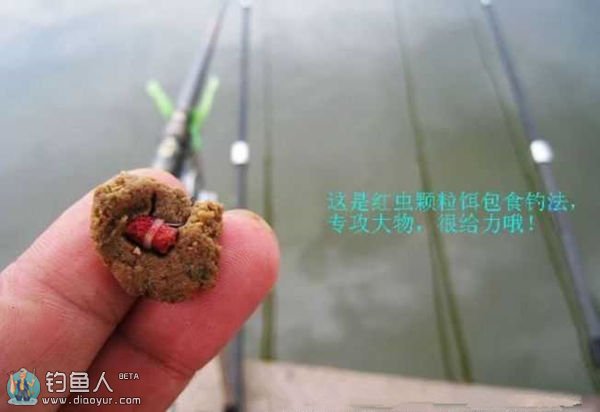 手竿釣鰱魚鳙魚技巧_釣鳙魚的技巧_海竿鰱鳙魚釣法