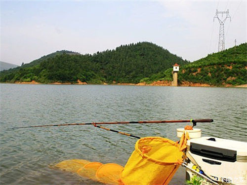 海竿鰱鳙魚釣法_手竿釣鰱魚鳙魚技巧_釣鳙魚的技巧