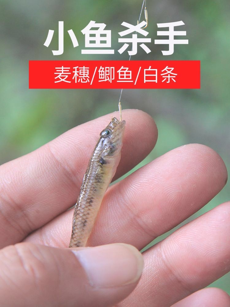 釣鳙魚的技巧_海竿鰱鳙魚釣法_手竿釣鰱魚鳙魚技巧