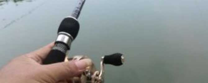 
【釣魚技巧】筏釣鰱鳙的原因及解決方法