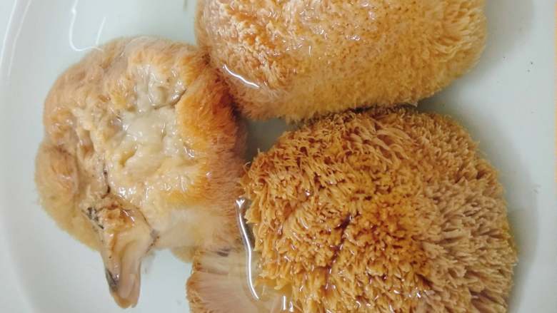 猴頭菇的泡發(fā)方法_海參快速泡發(fā)方法_海參的泡發(fā)方法