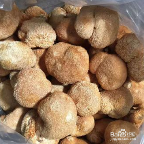 海參快速泡發(fā)方法_海參的泡發(fā)方法_猴頭菇的泡發(fā)方法
