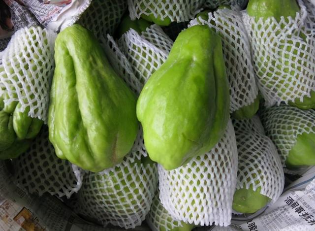 是不是在南方地區種植的“壽瓜”，你知道嗎？