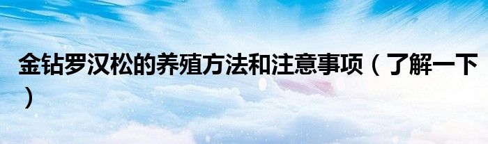 
關于金鉆羅漢松的養殖方法和注意事項了解一下方面的知識