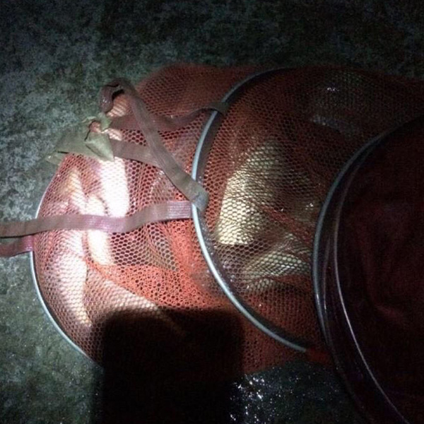 夜釣鯽魚技巧_鯽魚釣法技巧野釣_秋季釣鯽魚技巧