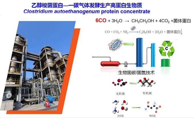 美國獲得的諾貝爾獎的人數(shù)_夏普萊斯第二次獲諾貝爾化學獎_朱茵劉燁獲影后影帝獲金燈塔獎