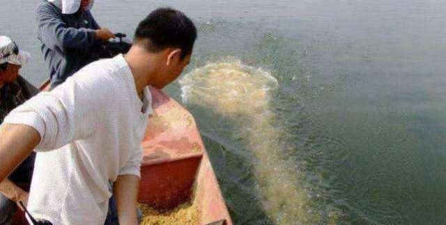 選點打窩的技巧，學會了這些，次次爆護不是夢