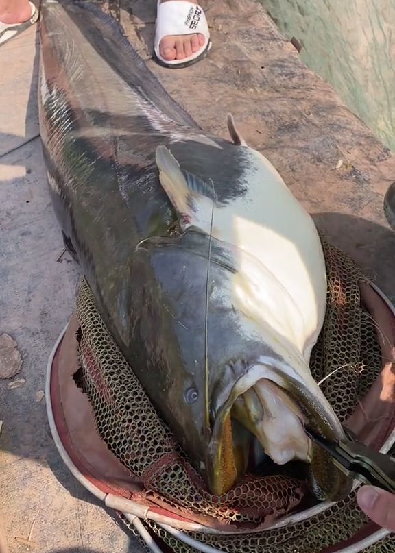 10月水庫釣魚技巧_10月水庫釣魚技巧_冬季水庫釣魚技巧