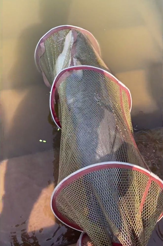 10月水庫釣魚技巧_10月水庫釣魚技巧_冬季水庫釣魚技巧