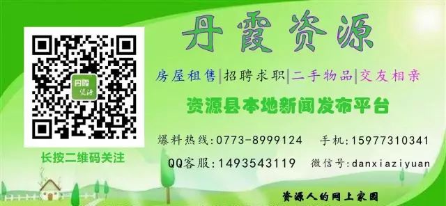 波斯菊種植方法_姬菇種植視頻_姬菇種植方法