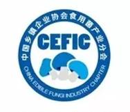 姬菇種植方法_富貴竹的種植方法_姬菇種植視頻