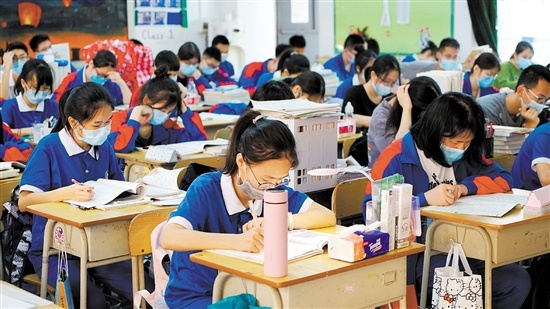 【指導】入職數月，月余之期；回眸過往，搖曳生姿
