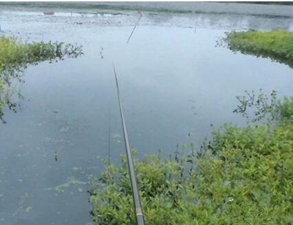 谷雨前后怎樣釣魚大家了解了嗎？一起來看下！