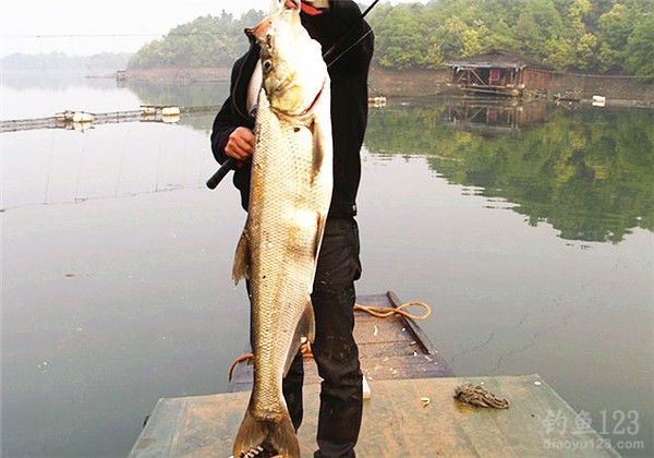 【釣魚技巧】一下釣翹嘴時需要注意的問題，你知道嗎？
