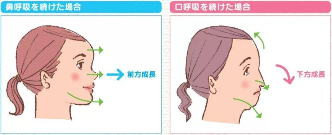 打坐呼吸念佛_打坐呼吸方法_打坐呼吸意守方法