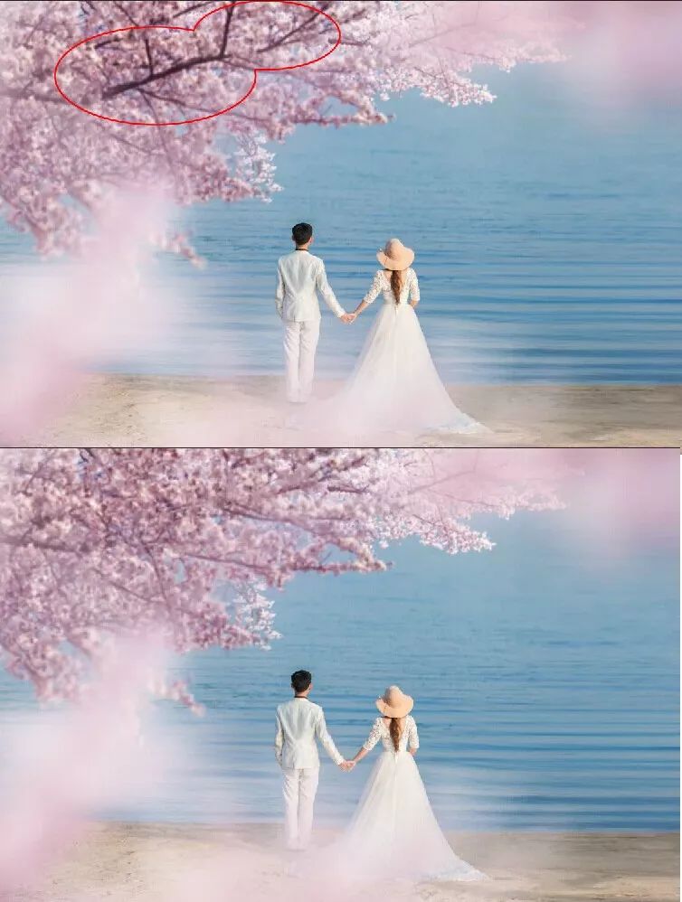 哪里照婚紗照好_婚紗照修圖技巧_長春哪家照婚紗照好
