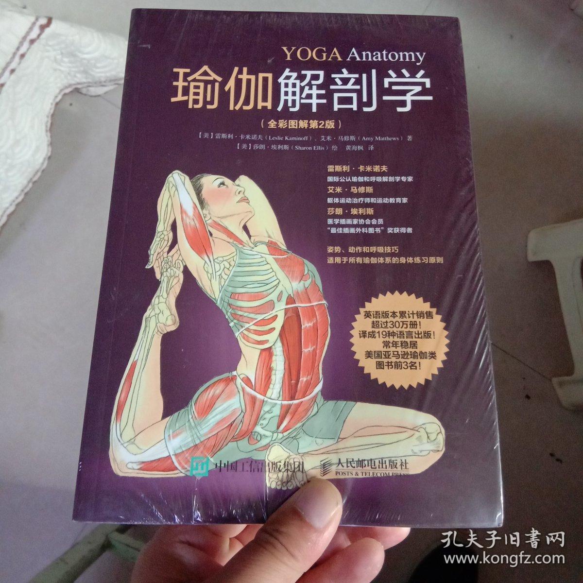 零基礎學瑜伽_瑜伽老師的基礎解剖學知識_零基礎學瑜伽入門教程