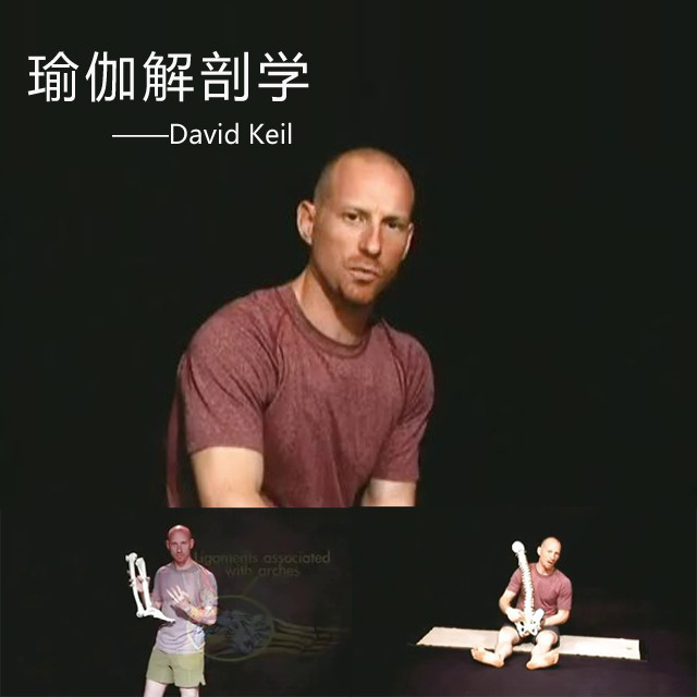 零基礎學瑜伽_零基礎學瑜伽入門教程_瑜伽老師的基礎解剖學知識