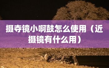 攝奪鏡小啊鼓怎么使用近攝鏡有什么用？適合拍微距如花瓣昆蟲水珠等佳能相機怎么打開瞄鏡