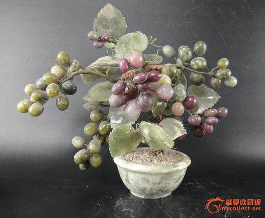 盆栽葡萄的種植方法與注意事項的配制配方有哪些？