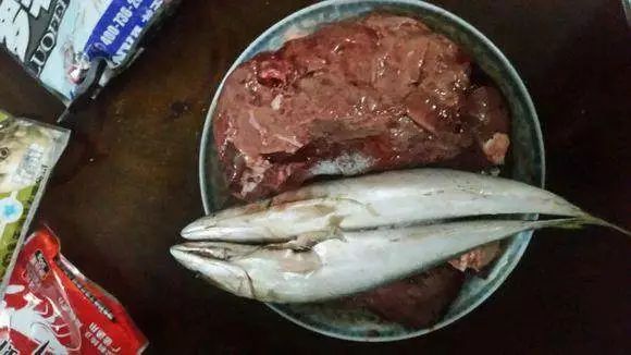 雞肝釣魚掛鉤方法圖片_雞肝掛鉤方法圖片_釣魚掛鉤方法圖片