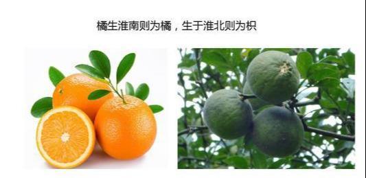 均線戰法技巧類其本質上和格蘭維爾的四大買進法則