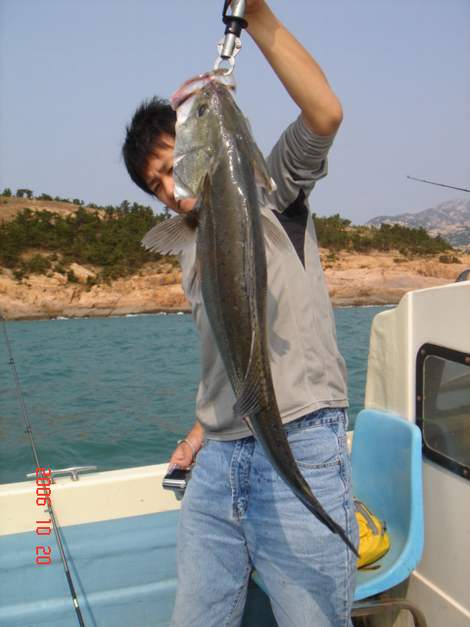 海桿黃河釣魚技巧_北方冬天海桿釣魚技巧_海桿釣魚技巧