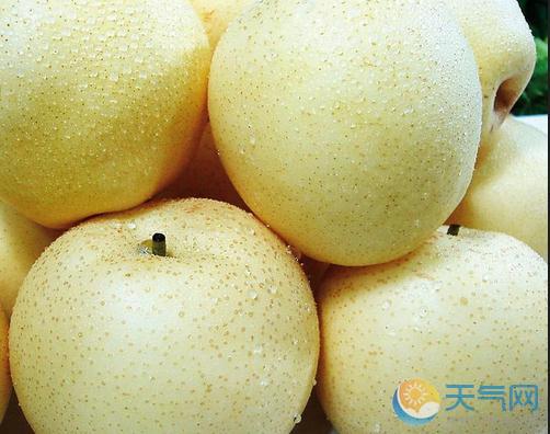 中醫(yī)四季養(yǎng)生 春夏秋天養(yǎng)生知識(shí)_冬季健康養(yǎng)生小知識(shí)_冬季中醫(yī)養(yǎng)生知識(shí)