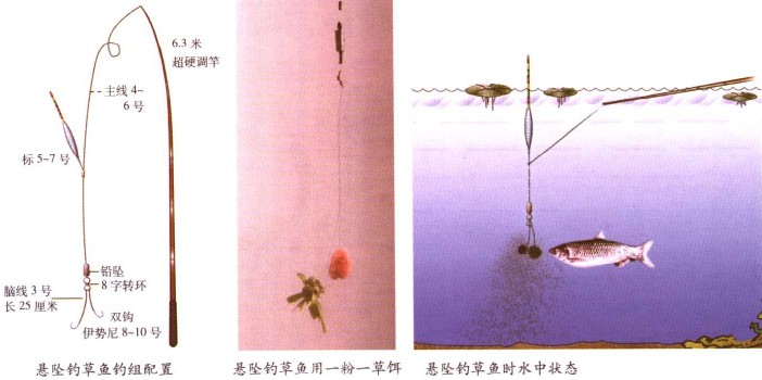 【釣魚技巧】潛水聚餐中的草魚喜歡吃什么？