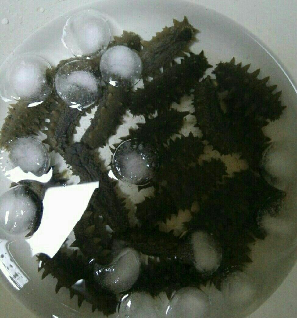 選擇即食海參還是干海參好呢？其實這個問題也是因人而異
