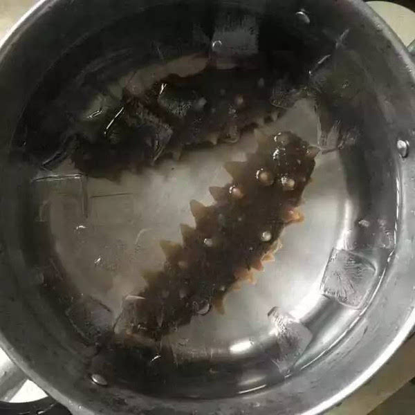 海參的泡發(fā)方法有哪些？怎么吃才最好？



