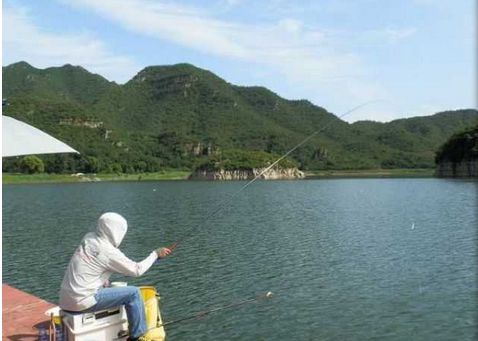 垂釣技巧_鯉魚垂釣技巧_野外垂釣技巧