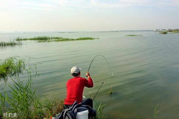 鯉魚垂釣技巧_垂釣技巧_野外垂釣技巧