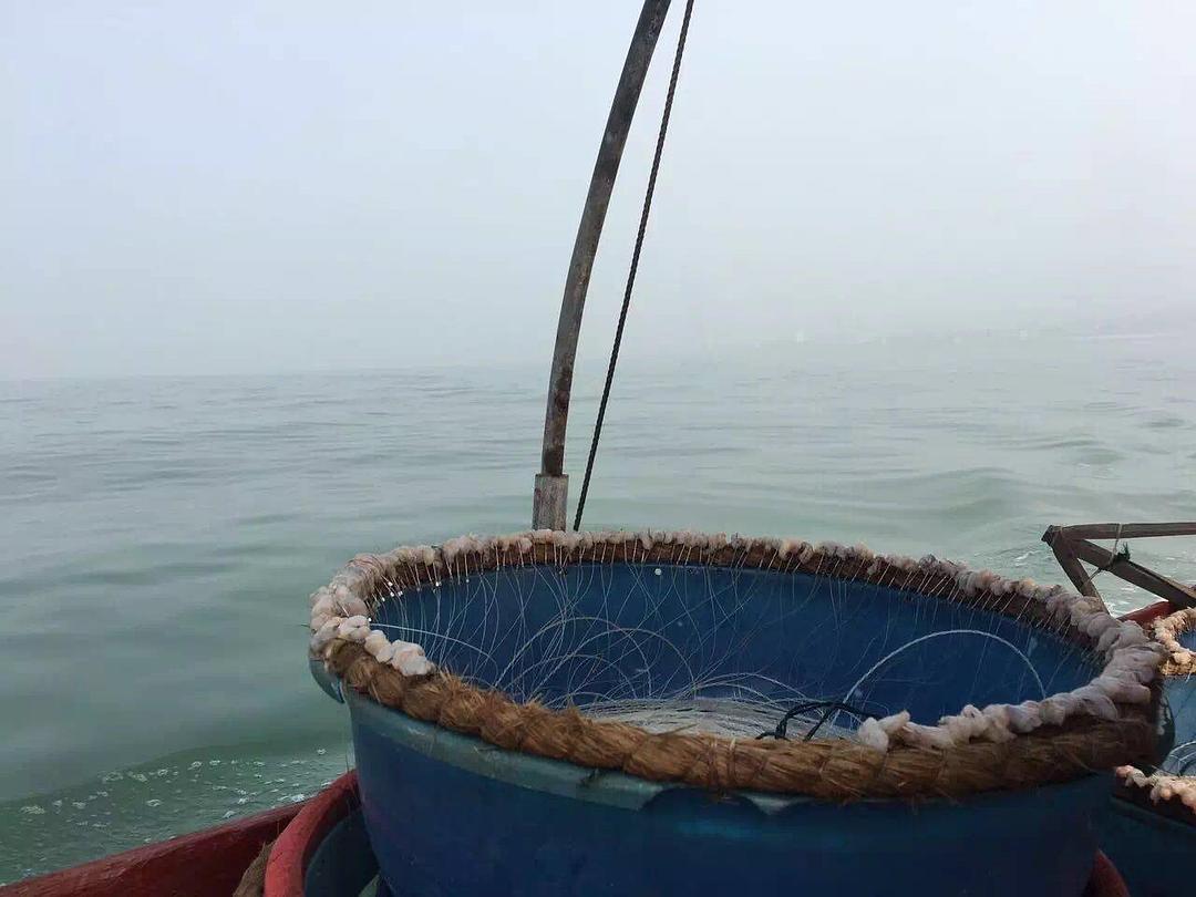 春天水庫垂釣技巧_垂釣技巧_野外垂釣技巧