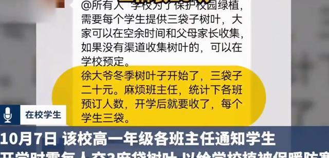 你聽說過“樹葉費”嗎？黑龍江一中學收取學生20元