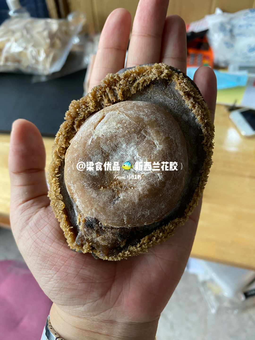 發財樹的養殖方法和注意事項竹的養殖方法和注意事項_干鮑魚怎么清洗鮑魚清洗方法視頻_鮑魚的養殖方法