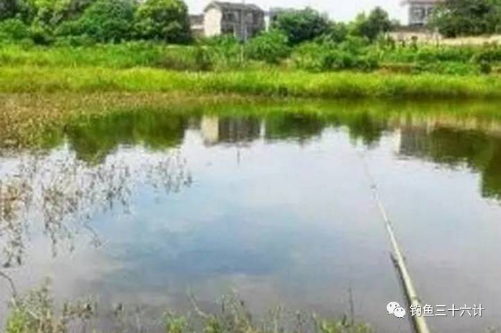【釣魚技巧】野外垂釣拋餌的技巧，你知道嗎？

