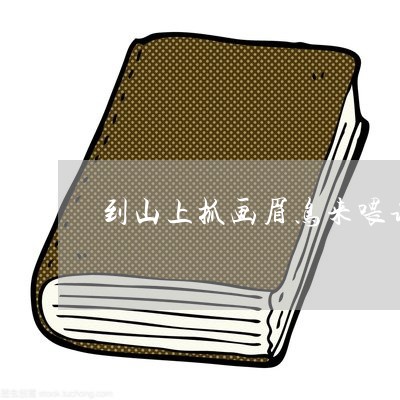 
鳥不適應捕畫眉引山技巧，疑心重，想抓來喂養聽聲