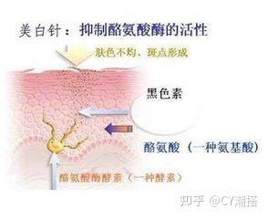 【】真正安全有效的美白方法有哪些？（上）
