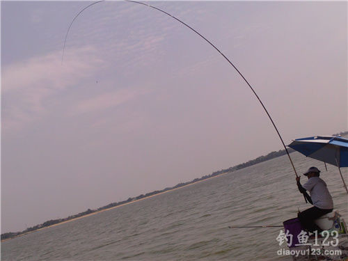 自己在遛魚過程中總結的小技巧，算不上心得體會！